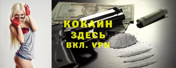 ГАЛЛЮЦИНОГЕННЫЕ ГРИБЫ Белоозёрский