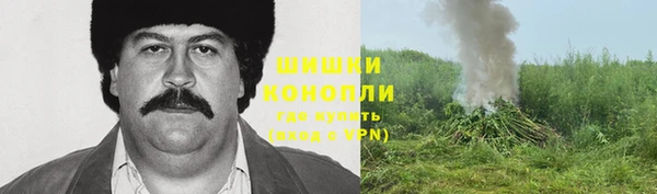 ГАЛЛЮЦИНОГЕННЫЕ ГРИБЫ Белоозёрский