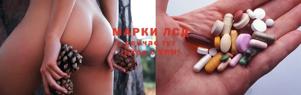 ГАЛЛЮЦИНОГЕННЫЕ ГРИБЫ Белоозёрский