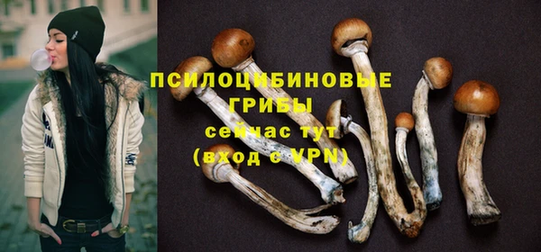 spice Беломорск